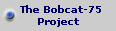   The Bobcat-75
Project